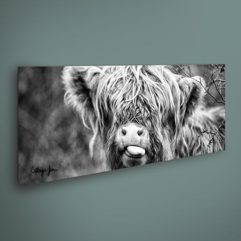 PANORAMIC - RASPBERRY COW MONO - 1.2m x 50cm